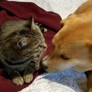 Meet your Posher, Ann marie